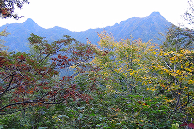 鋸岳と鬼が面山の写真