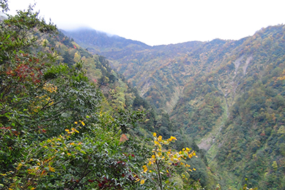 隣の尾根と雨飾山山頂方面の写真