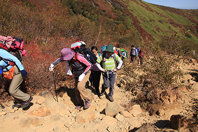 森林限界を超えて岩の多い登山道を登っている写真