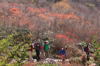 姥が平付近の紅葉した木々の前での１班の写真