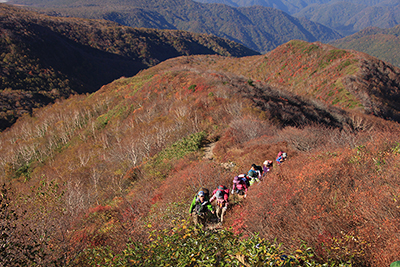 紅葉の美しい尾根を見下ろしながら登っている写真