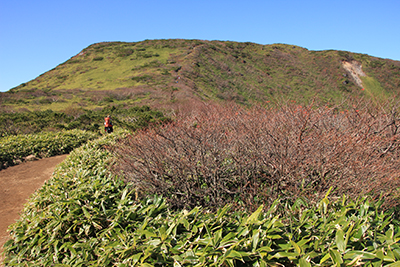 近づいた三本槍岳山頂付近の写真