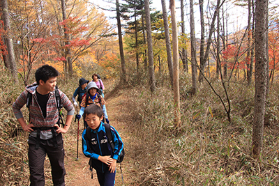 緩やかな登山道を歩いている写真