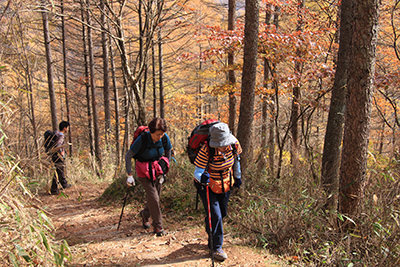 紅葉した山道を歩いている写真