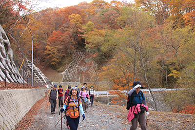 紅葉のすばらしい林道を歩いている写真
