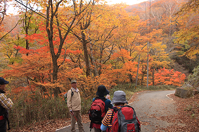 最高に紅葉の美しいところを歩いている写真