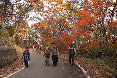 紅葉の美しい舗装道路を歩いている写真