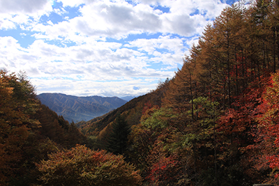 柳沢峠から見た富士山方面の写真