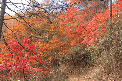 紅葉が最も美しかった場所での写真