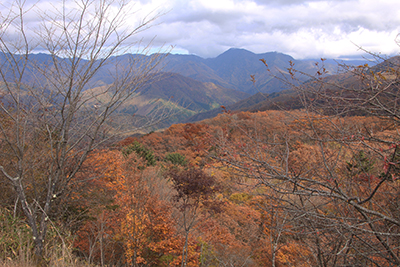 ハンゼノ頭から見た奥秩父（唐松尾山）方面の写真