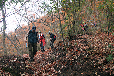 登山道を下っている写真