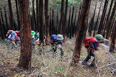 きつかった峰山への登りをがんばっている写真