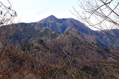 馬頭刈山山頂から見た大岳山の写真