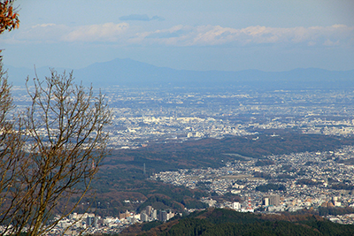 植林の伐採地から見えた筑波山の写真