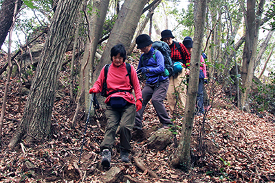 天狗岩から山道を下っている写真