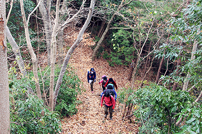 落ち葉の深い登山道を歩いている写真