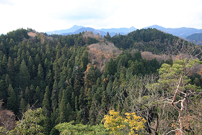 天狗岩から見た大岳山方面の写真