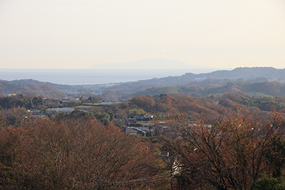 相模湾と大島の写真