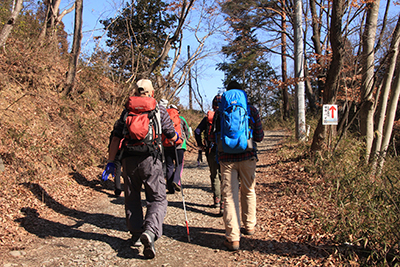 宝登山に向けてロープウェイ横の道を登っている写真