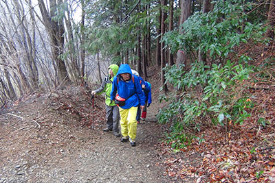 広い登山道を手をつないで歩くＫさんとＭ君の写真