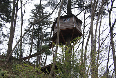 木の中間部の幹を巻くように作られた小屋の写真