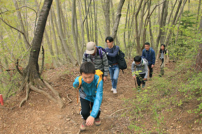 新緑の山道をがんばって登っている写真