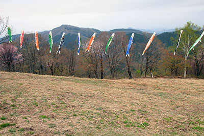 陣馬山山頂に飾られた何匹もの鯉のぼりの写真