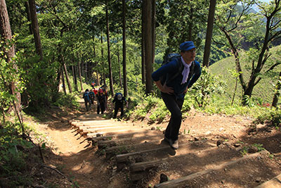 日ノ出山山頂に向けて丸太の階段を登っている写真