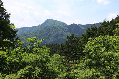 日ノ出山山頂の下から見た大岳山の写真