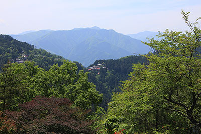日ノ出山山頂から見た六ッ石山と鷹巣山、雲取山の写真