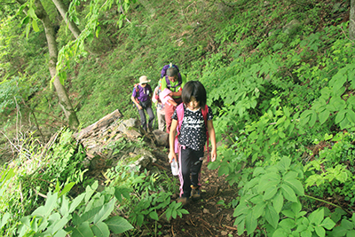 次第に急登となる登山道を登っている写真