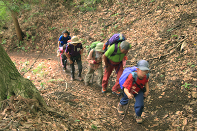 少し暗い登山道を登っている写真