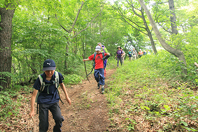 山頂から元気に下っている子どもたちの写真