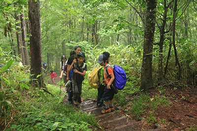 平標山ノ家に向けて階段を登っている写真