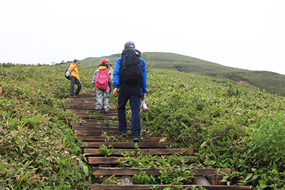 階段の登山道を登っている写真