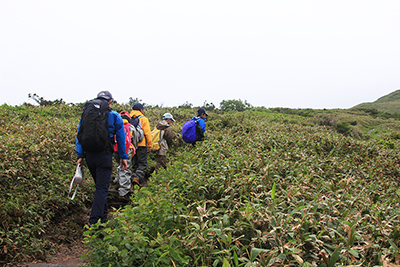 平標山の山頂直下を登っている写真