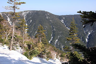 長塀尾根から見た大滝山の写真