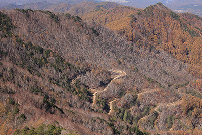 男山山腹の写真