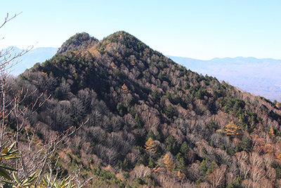 男山の写真