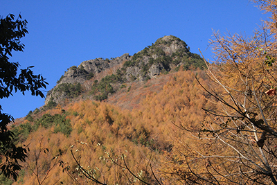 下山の道から見上げた男山の写真