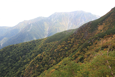 百間洞山ノ家へのトラバース道から見た聖岳の写真
