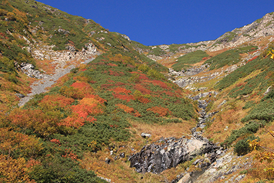 紅葉した赤石沢北沢原頭部の写真