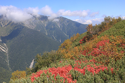 悪沢岳と紅葉の写真