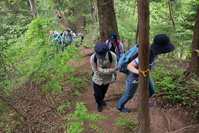 山道をがんばって登っているメンバーの写真