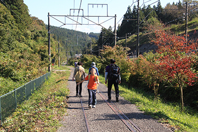 トロッコ列車の軌道に並行する道を歩いている写真