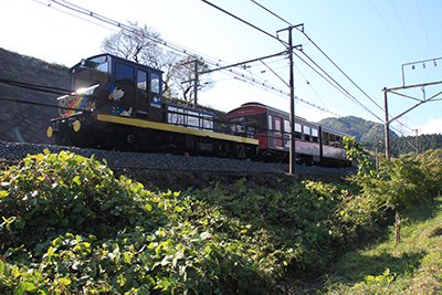 トロッコ列車の写真