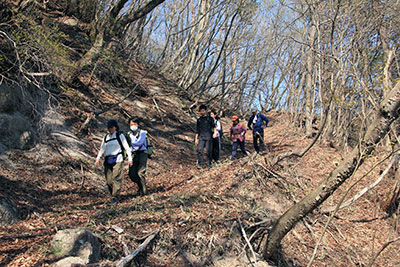 三峰沼からの少し急な登山道を下っている写真