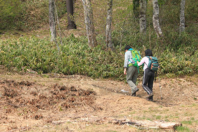 スキー場から山頂に続く山道に入っていくメンバーの写真