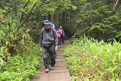沼山峠から尾瀬沼に向けて歩いている写真