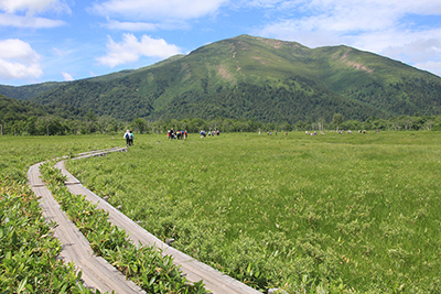 山の鼻が近づいてきた尾瀬ヶ原と至仏山の写真